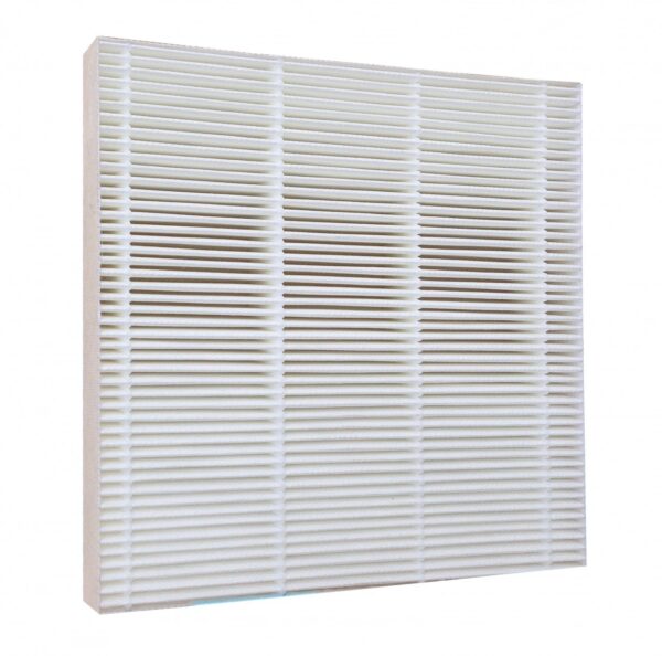 HEPA FILTER For Fresh Air by Ecoquest